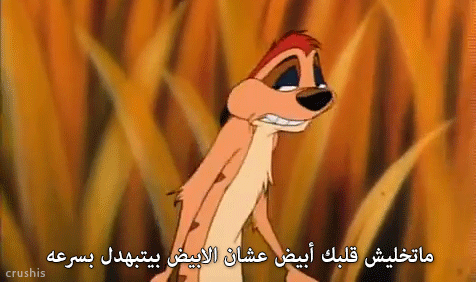 رحلة الشتاء و الصيف