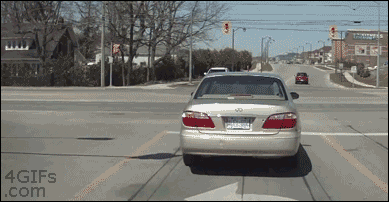 4gifs:  Surprise! 
