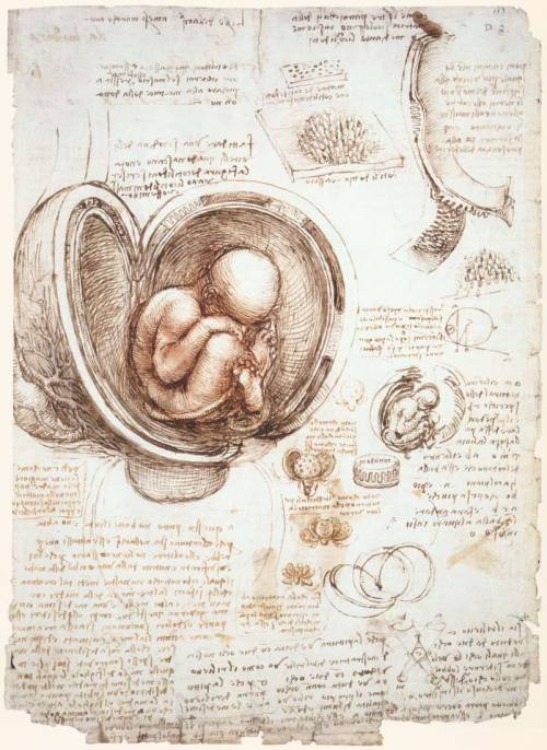 italianartsociety:  Leonardo da Vinci died on this day in 1452 in Amboise, France. The world-renowned polymath excelled as a painter, sculptor, architect, designer, theorist, engineer, and scientist, though he was often more interested in the design and