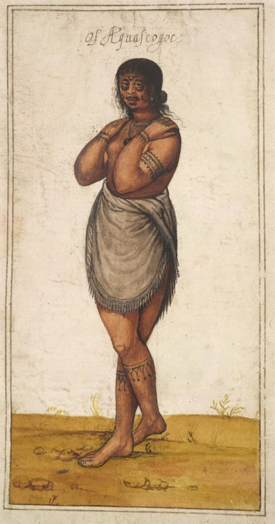 medievalpoc:John WhitePortrait of a A Young Woman of AquascogocEngland (c. 1585)Watercolor on paper;