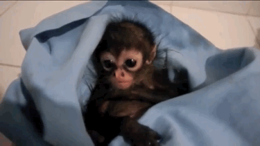 Someone Made The Cutest Funny Song For This Little