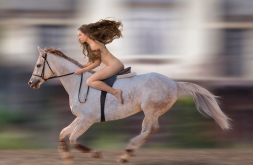 Porn Pics Sexy Horse Ride