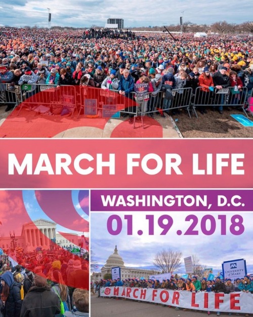 catholicconnect: The mission of the March for Life is to provide all Americans with a place to testi