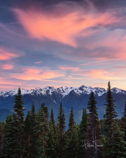 visitportangeles:  Sunset over the #OlympicMountains,