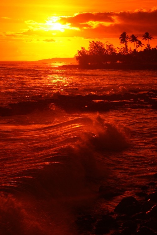 disminucion:  by Mister Kitty 