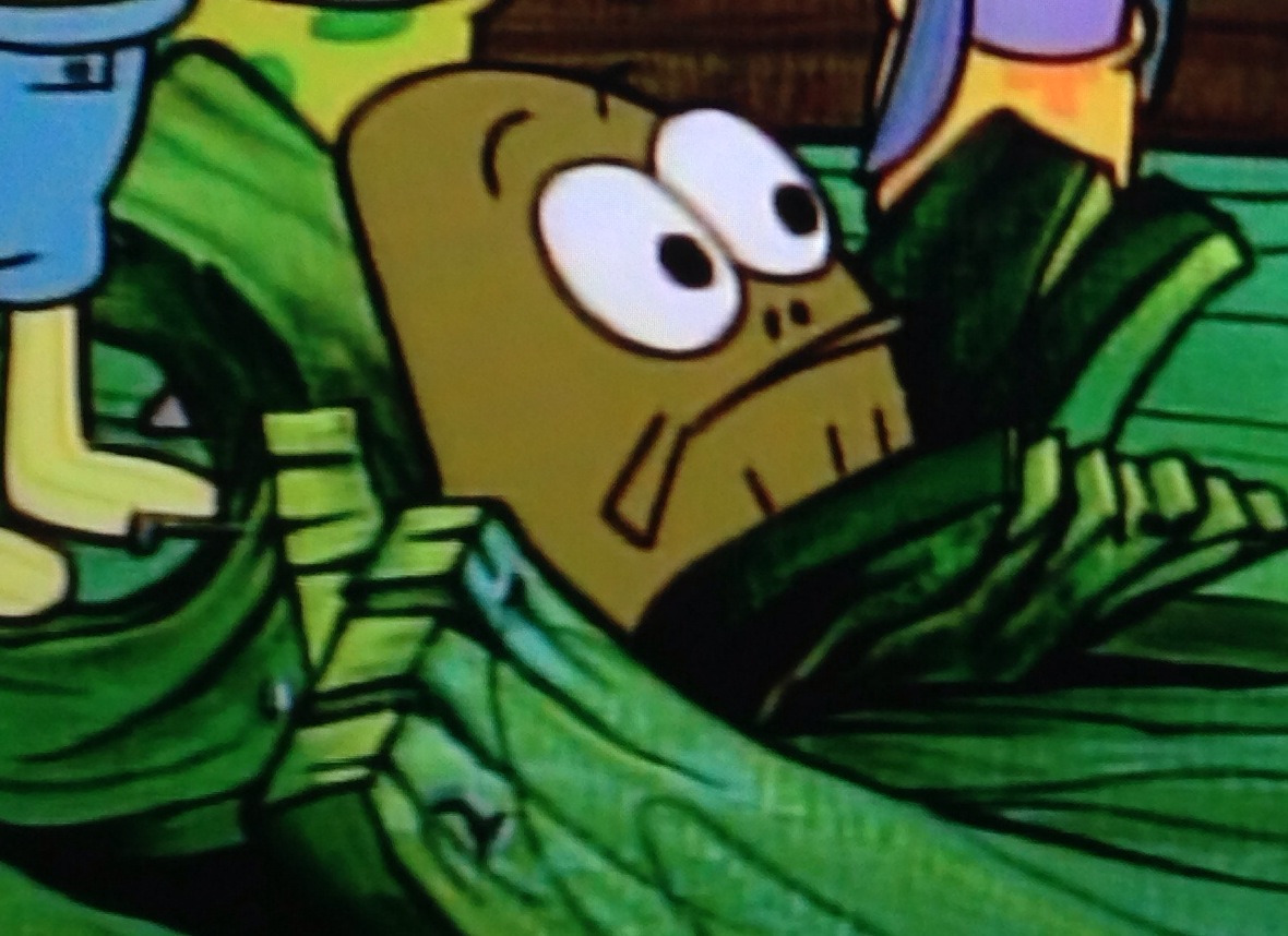 kirbydeluxe: any political event: [happens] some fucking shut-in nerd who feels compelled