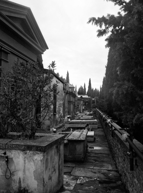 Cimitero Delle Porte SanteFlorence, ItalySeptember 2015