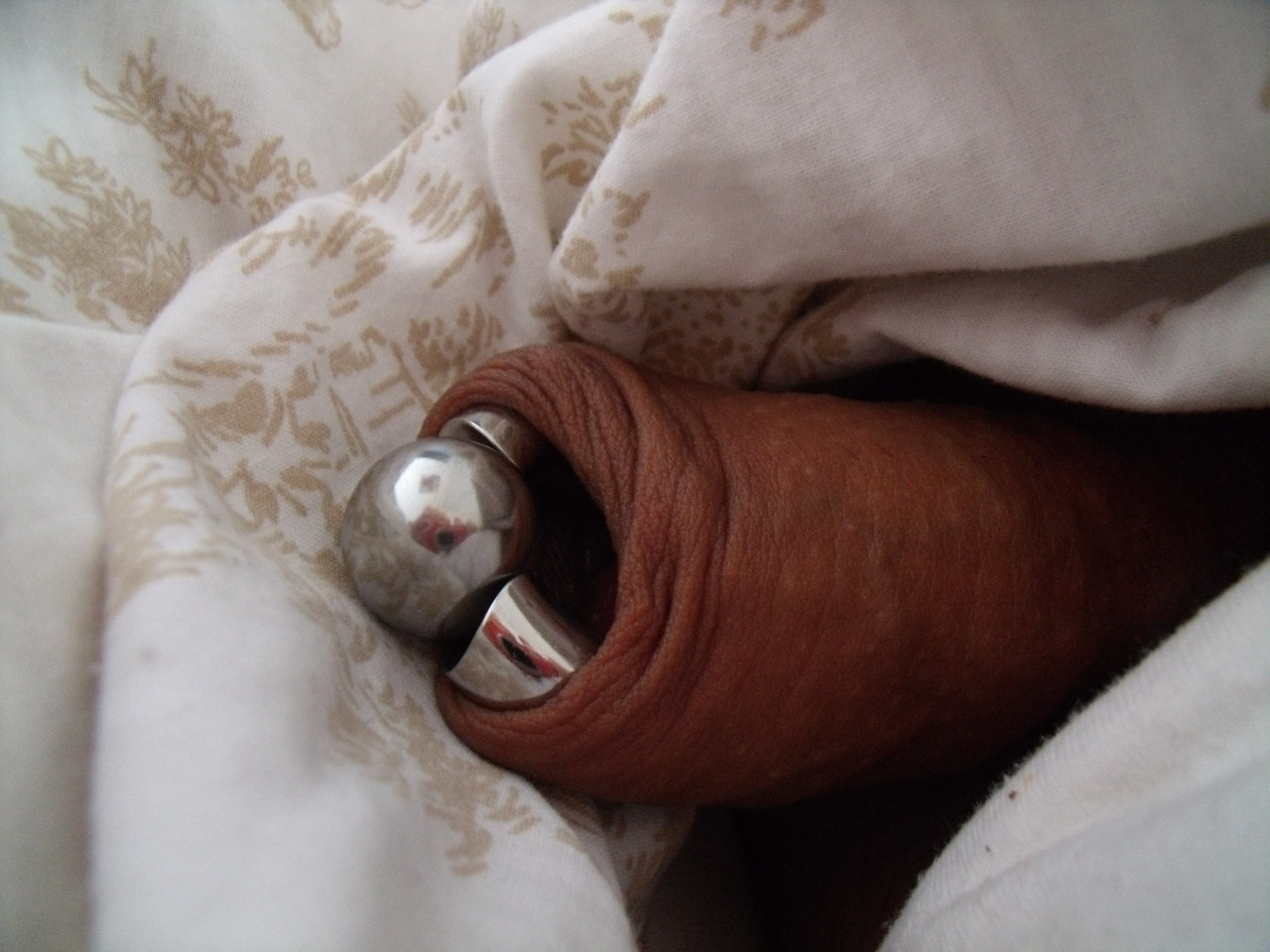 piercedtwisted:  Hot looking foreskin holding tight to its big heavy metal PA!