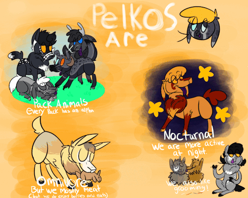 ask-vasara:  MOD: Here are the basics of what a pelko are. There is a ton more but i wanted to list the most important ones. Pelkos are a closed species  Previous post: LINK  =O