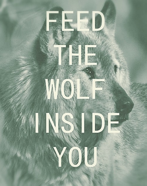 beautifulbecause:  About wolves | via Tumblr no We Heart It. https://weheartit.com/entry/75494850/via/filipa_cunha