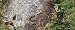 A simple dark rock lies in the local cemetery