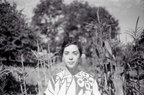 lanipanini.tumblr.com/post/108913330522/