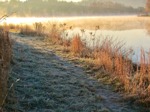 geopsych:Last November on the lake path.