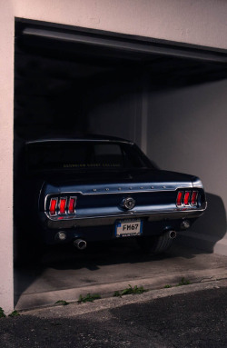 h-o-t-cars:  1967 Ford Mustang by Ondrej