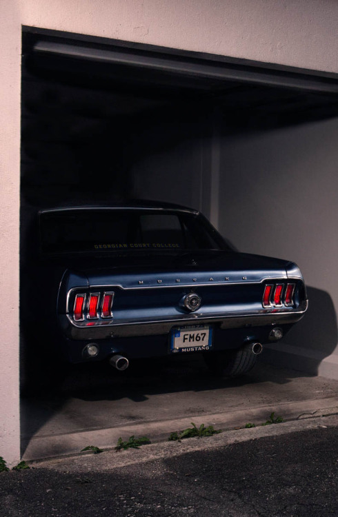 h-o-t-cars:  1967 Ford Mustang by Ondrej adult photos