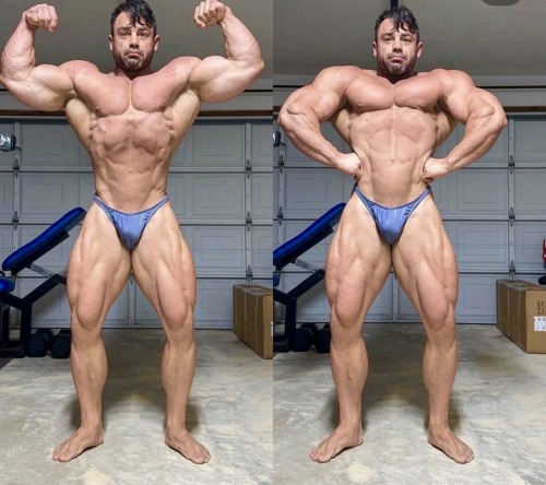 woulduplease - I like big bi's and I cannot lie!