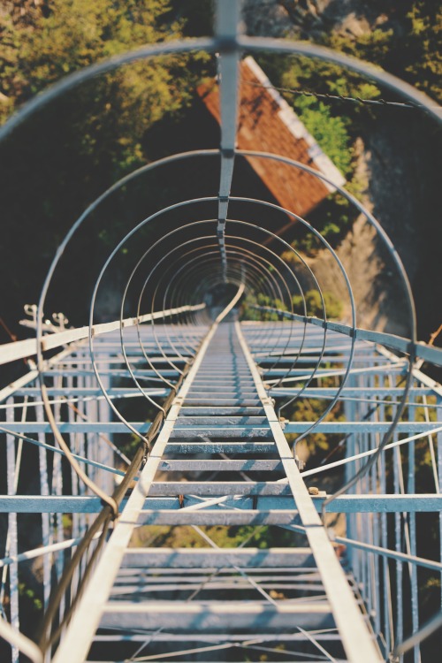 jaymegordon - Looking down an old fire watch tower ➾ Jayme...