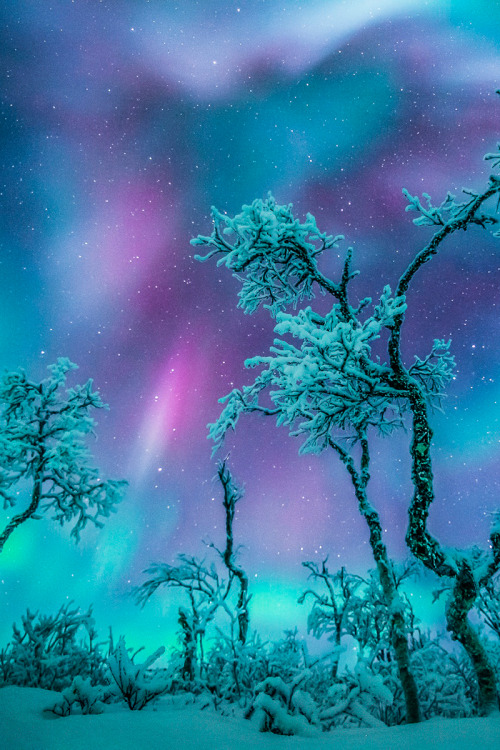 XXX madishy:Calling Of Space by Checkmydream photo