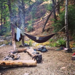 chaparrals:  Hammock camping or bust 