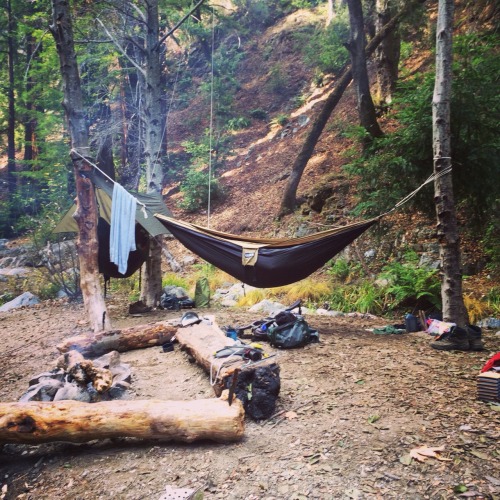 chaparrals:  Hammock camping or bust  porn pictures
