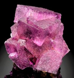 geologyin-blog:  Gorgeous cluster of raspberry-purple