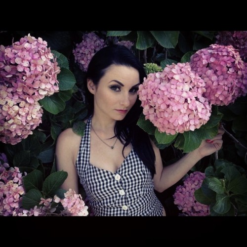 damonandverucajames:  Hydrangeas in The Rose Garden at California Science Center w/@damon_james 💏  Lovely!!!