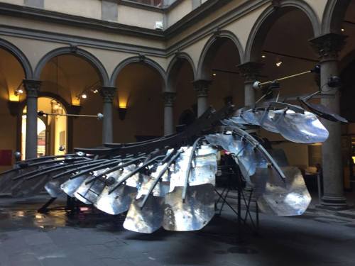 “Ai Wei Wei. Libero” - Palazzo Strozzi, Florence 