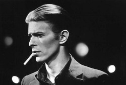 david bowie