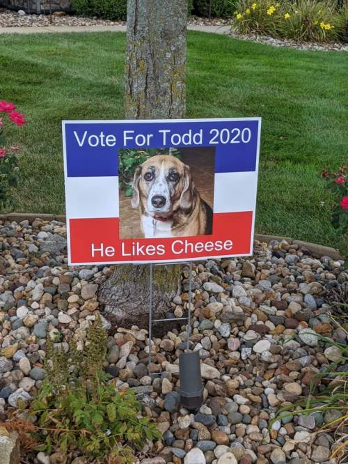 A candidate we can all agree on