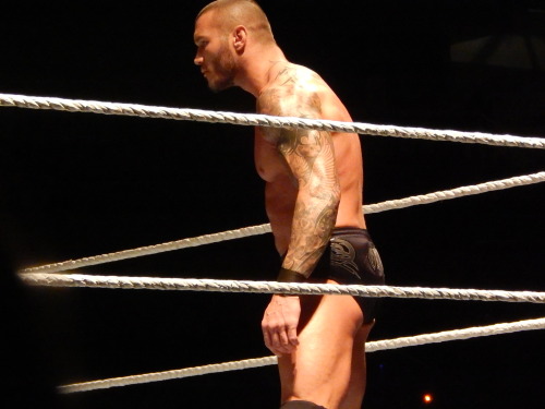 Porn Pics warblgarbl4lyf:  WWE live in Toronto pt 5