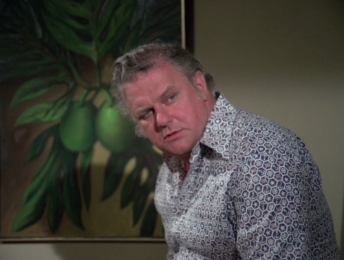 Hawaii Five-O (TV Series) - S8/E9 ’Retire in Sunny Hawaii… Forever’ (1975)Charles Durning as 