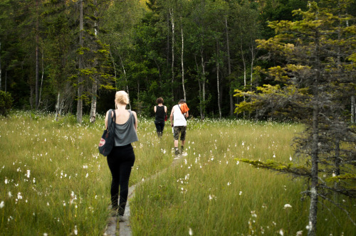 hiking metal punks