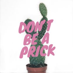 moorfields: Plant humour is the best humour. Please don’t be a prick. 🌿🌱🌵   My lovely opuntia a.k.a prickly pear cactus. 