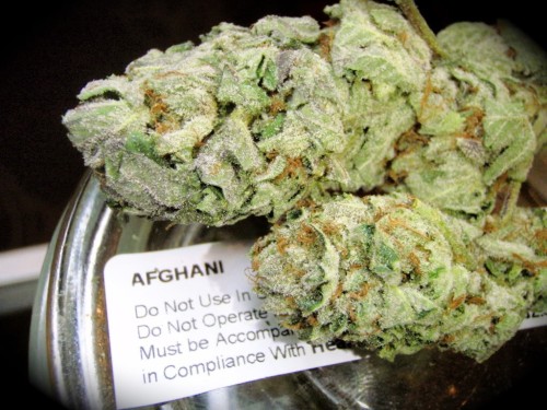 cannabisculturez:  How I grow my cannabis and smoke 100g/month for free