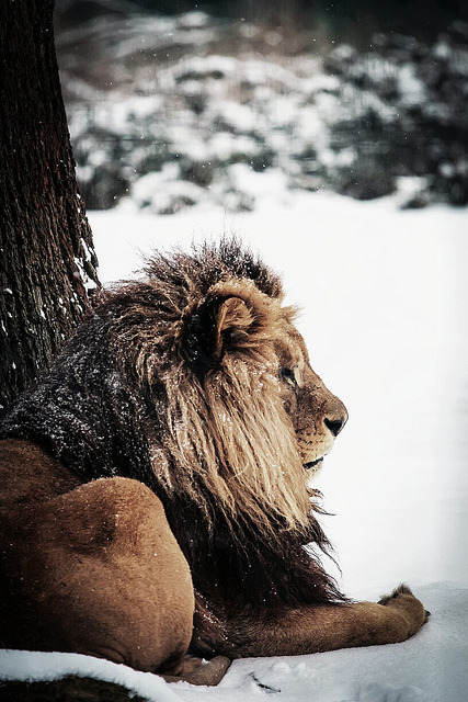 We must be KILLERS