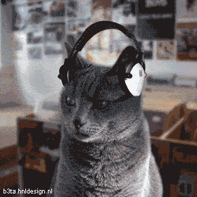 domipjc:  (via Gif Animaux Drôles) 