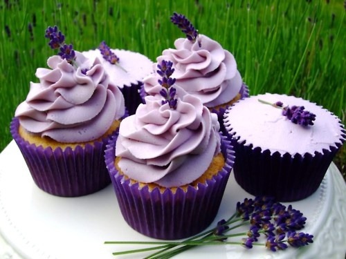 sweeeetthings:  Purpleee~ 