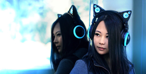 madflamingo: Gift Ideas For Cat Lovers Cat ear headphones Love music? Love anime? Unfortunately they