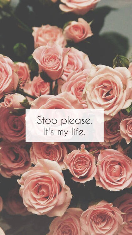 silly-luv:  ♡ find your best posts on my blog ♡