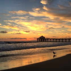 Heaven on earth.  (at Manhattan Beach Pier)