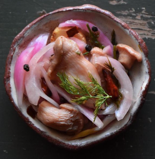 wild-gastronomy:Lacto fermented wild oyster mushrooms pickled in seasoned mugwort beer vinegar and a