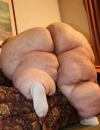 mrwilsl: