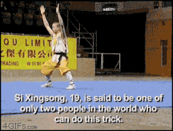 Failsnet:  Tumblr Fails.net - Backflip Monk