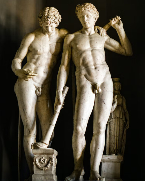 antonio-m:  Castor and Pollux (or Polydeukes) are twin half-brothers in Greek and Roman mythology, known together as the Dioscuri. marble