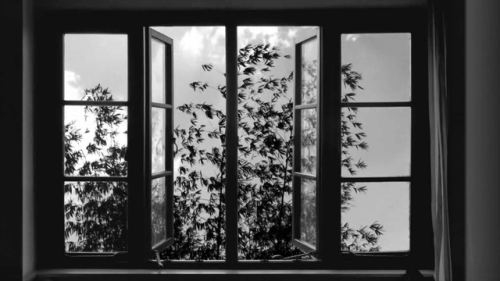 24 Frames, 2017, Abbas Kiarostami#1