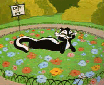 An Uncoventional Lady Pepe Le Pew Is Love Struck For A Wildcat Disguised