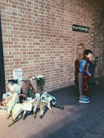 cumberbuddy:  Harry Potter fans have been paying tribute the only way they feel they