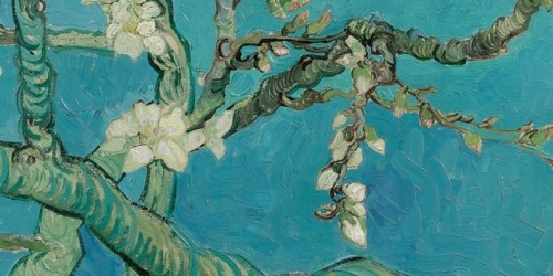 therepublicofletters: Details of Almond Blossoms by Vincent van Gogh, 1890