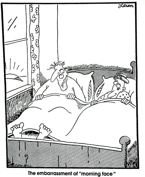 mcchrisforeverrr:  i might just post far side cartoons online for the rest of my life. and nothing else.