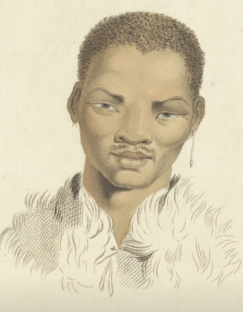 A Khoi man from South AfricaDrawing by William Alexander - print by Ludwig Gottlieb Portman, 1787 - 